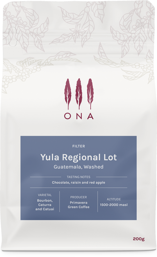 Yula Regional Lot, Guatemala, Washed