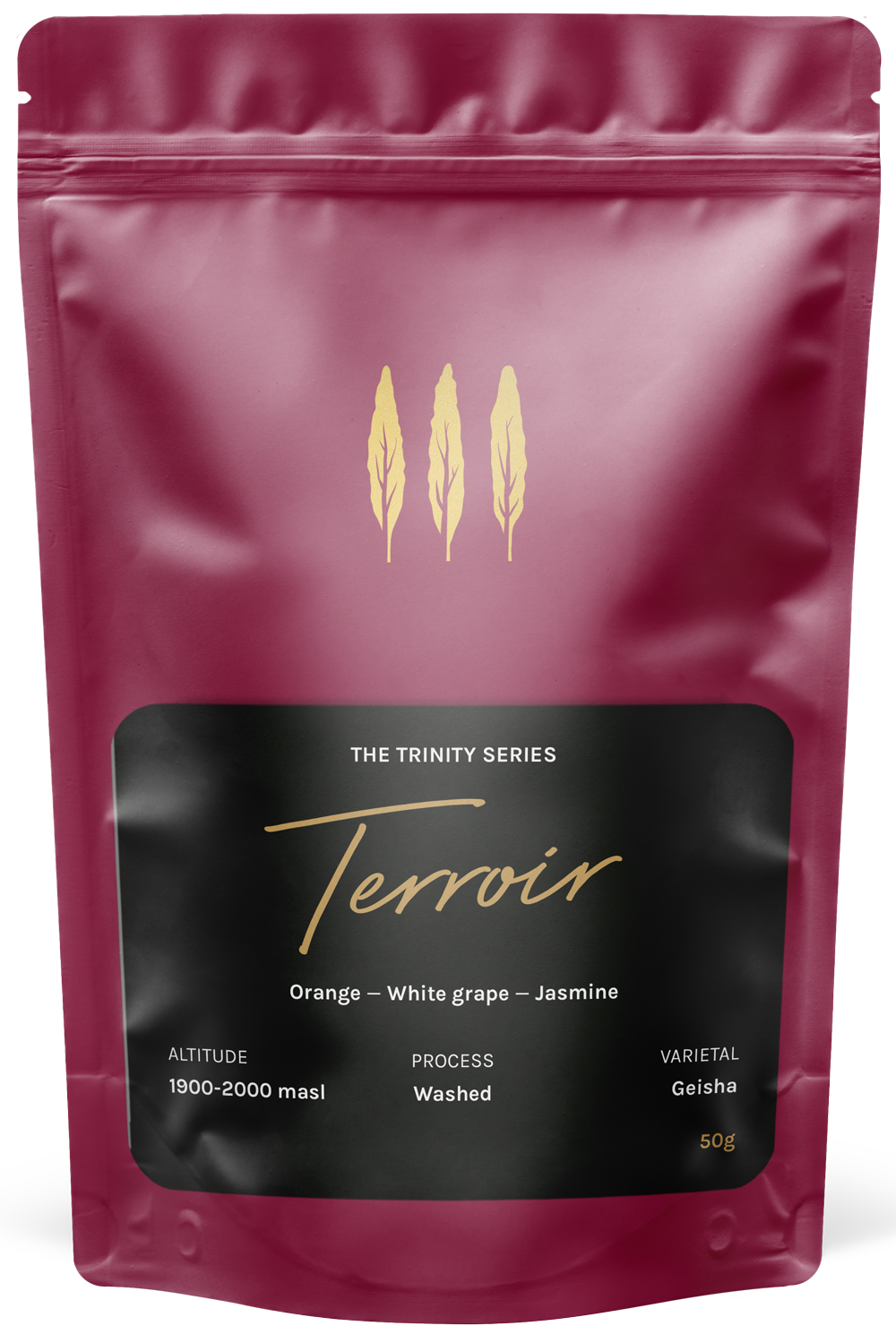 Terroir