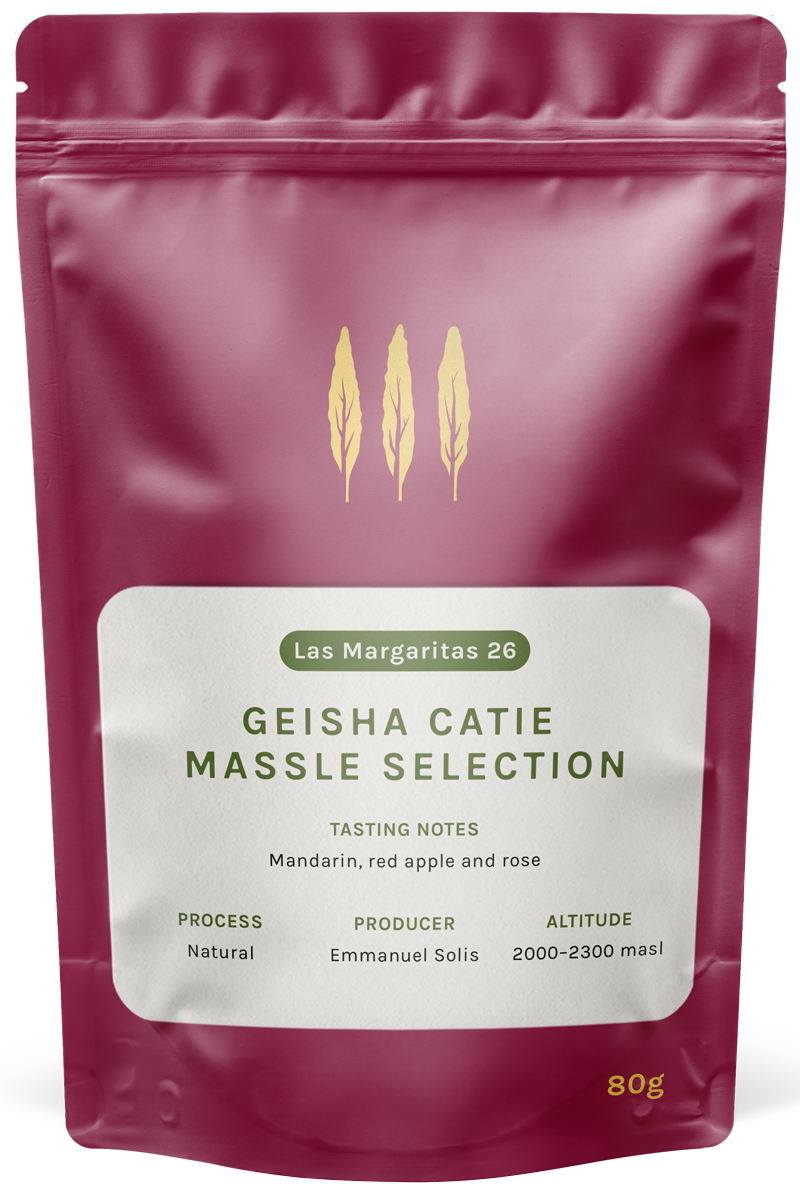 Las Margaritas 26; CATIE Massle Selection