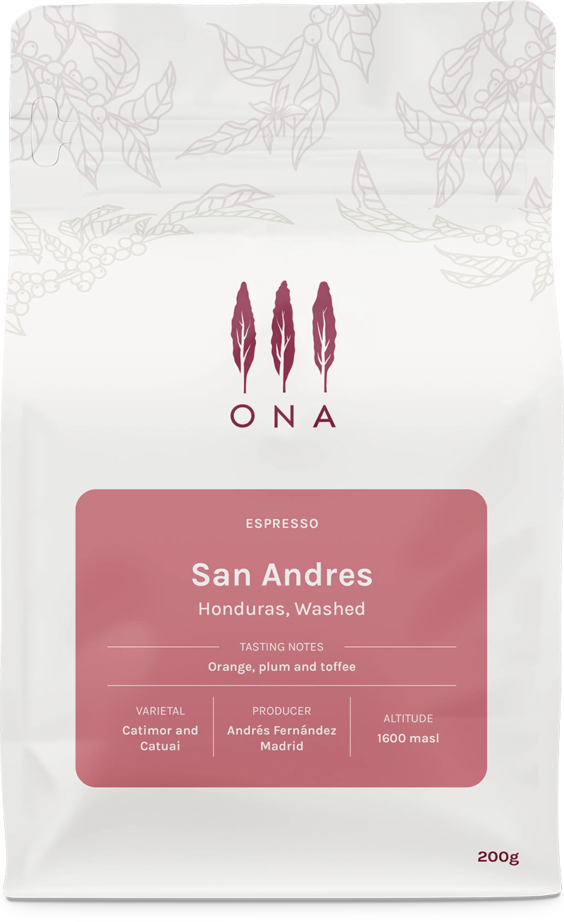 San Andres, Honduras, Washed