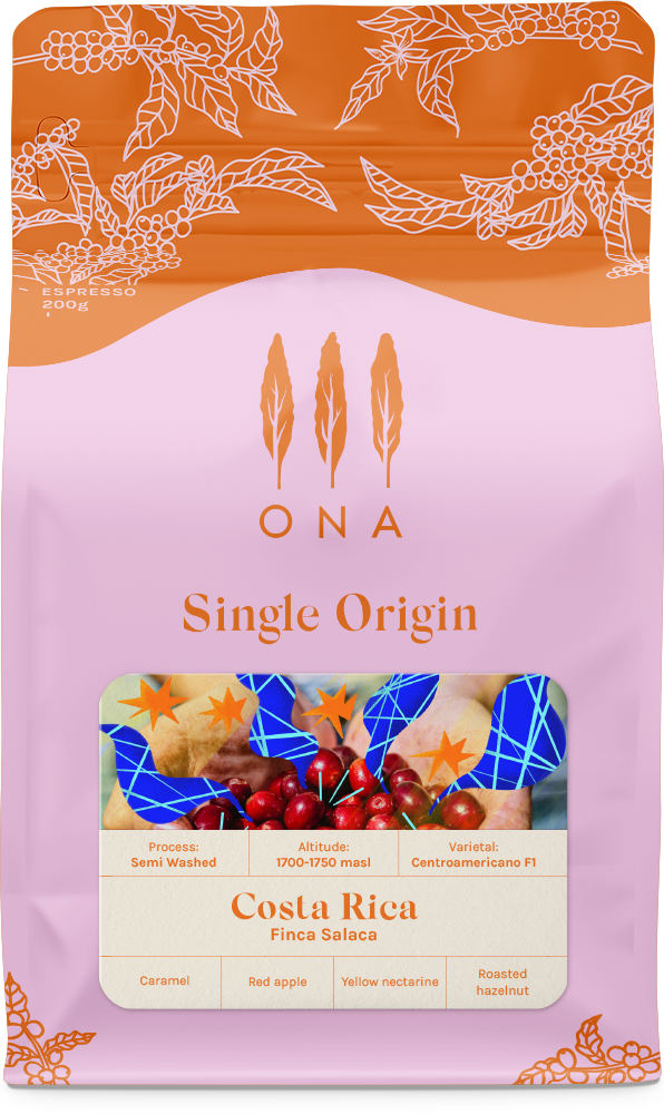 Costa Rica, Finca Salaca, Semi-washed