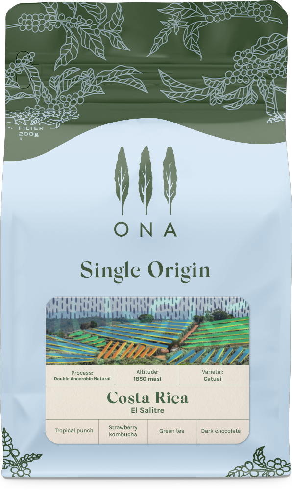 Costa Rica, El Salitre, Double Anaerobic Natural
