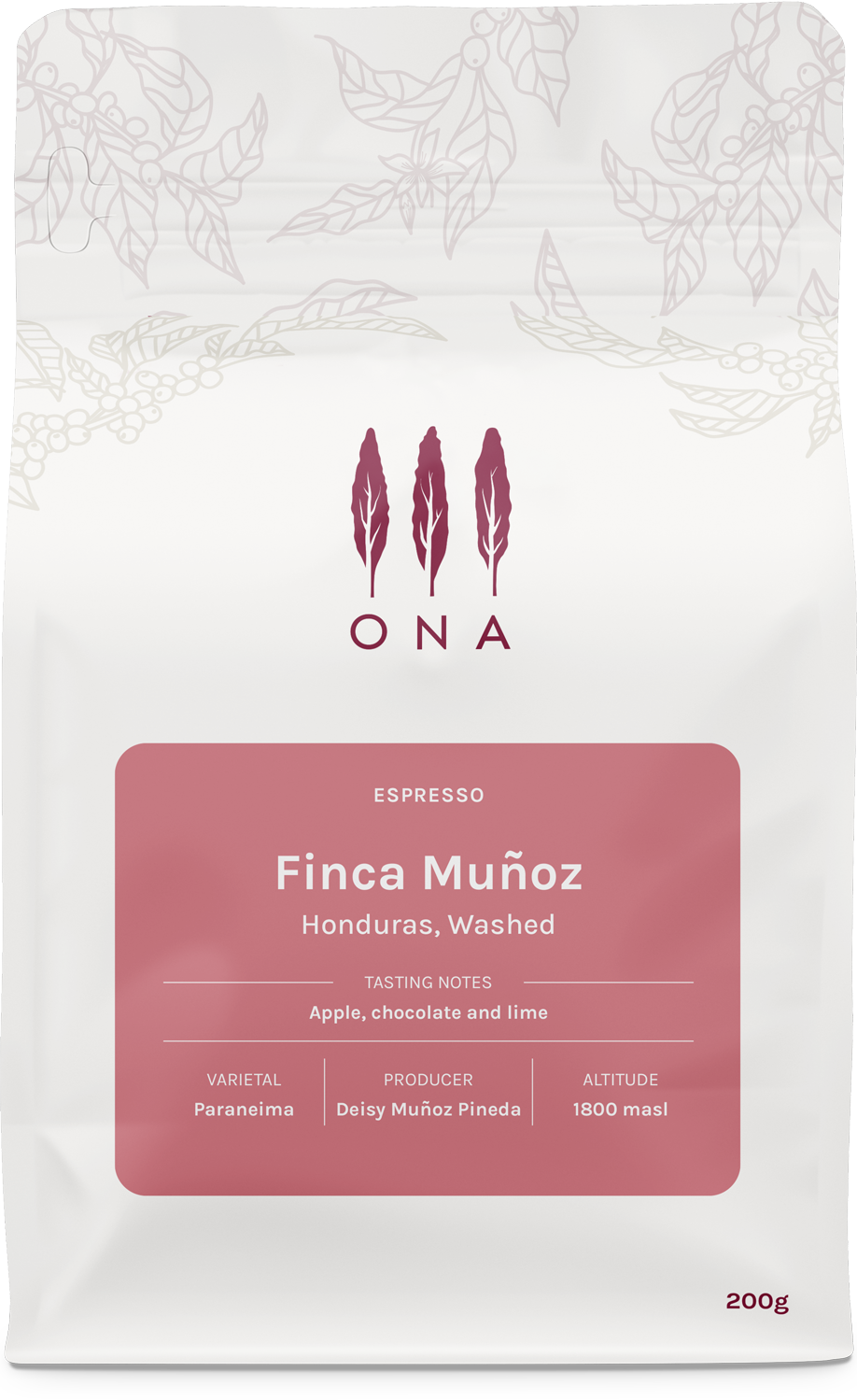 Finca Muñoz, Honduras, Washed