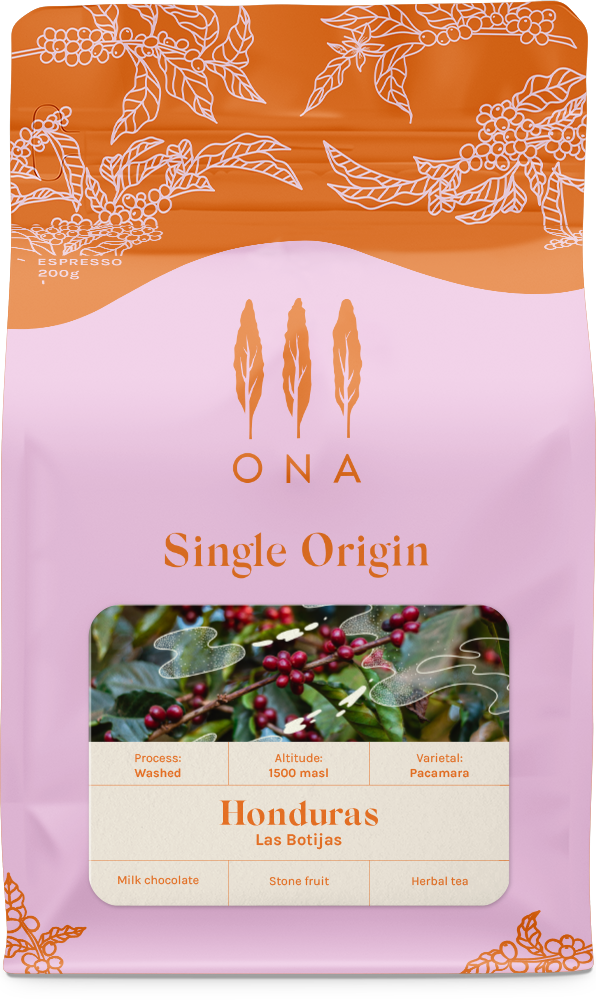 Honduras Las Botijas Washed Pacamara