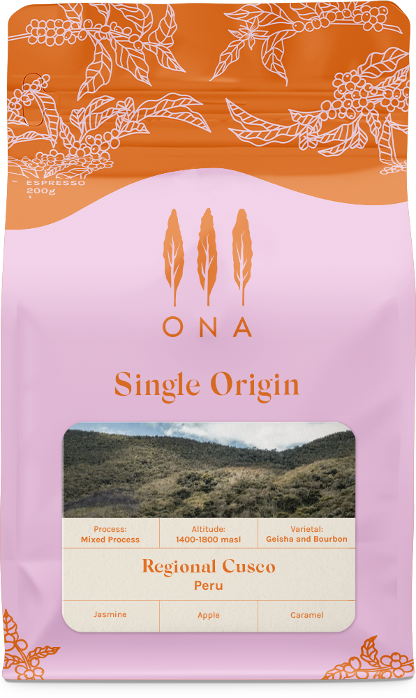 Regional Cusco, Peru, Mixed Process
