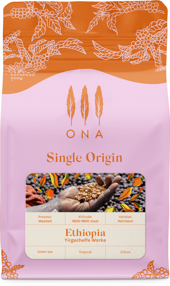 Ethiopia Yirgacheffe Worka Washed Heirloom