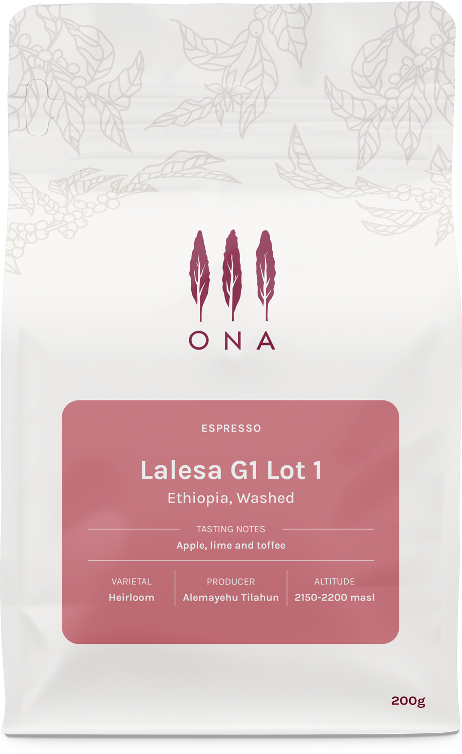 Lalesa G1 Lot 1, Ethiopia, Washed