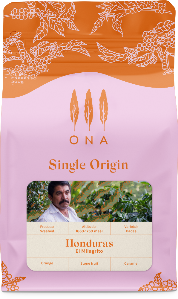Honduras El Milagrito Pacas Washed