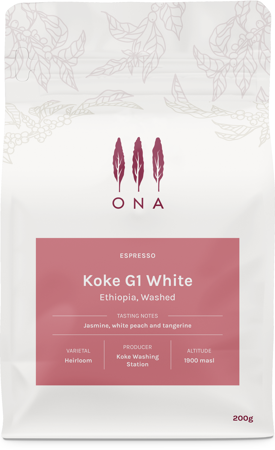 Koke G1 White, Ethiopia, Washed