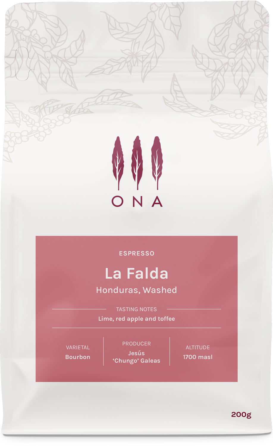 La Falda, Honduras, Washed