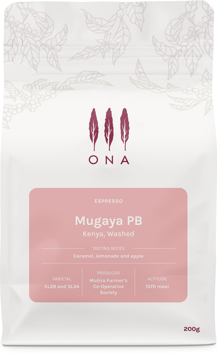 Mugaya PB, Kenya, Washed
