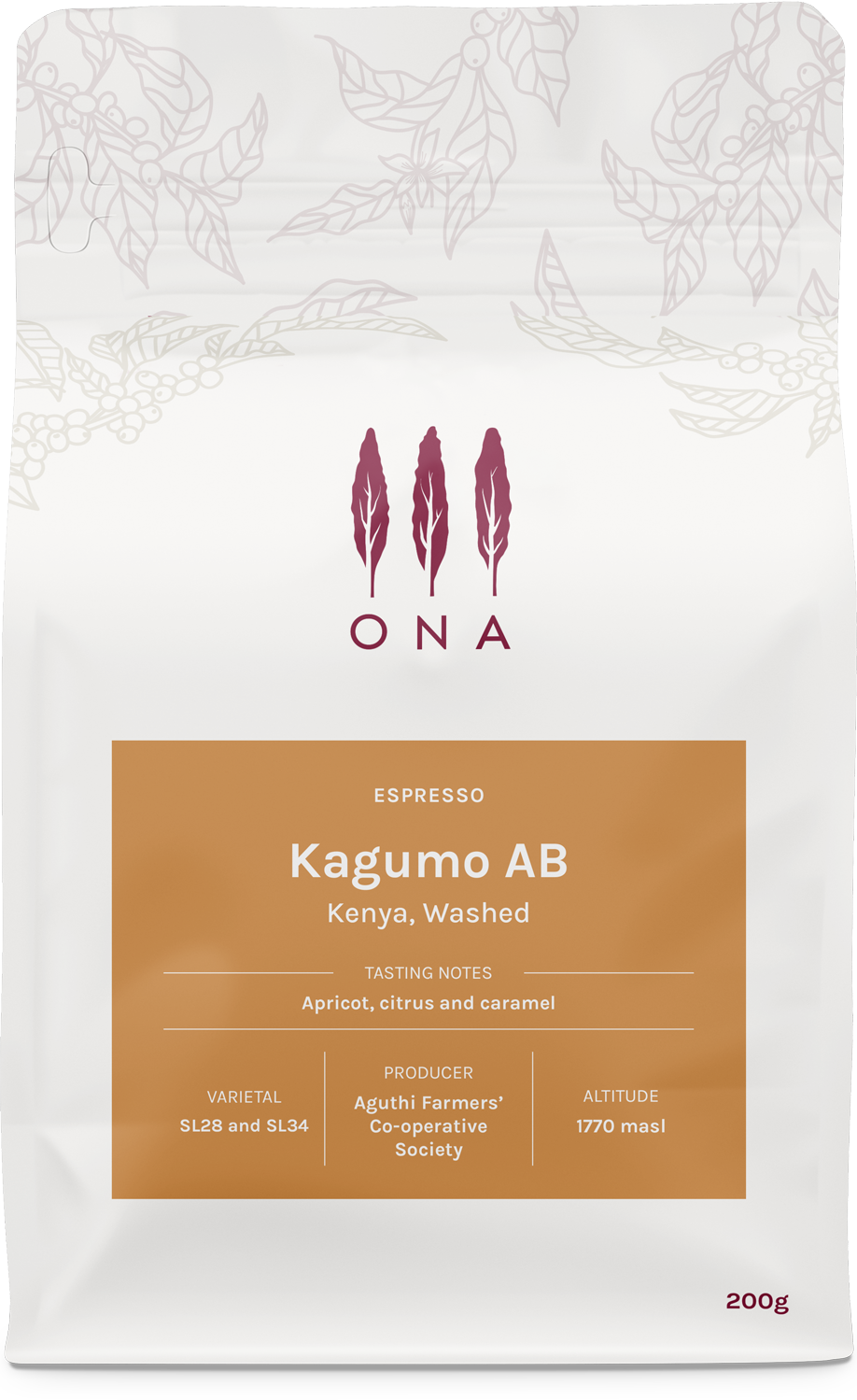 Kagumo AB, Kenya,  Washed
