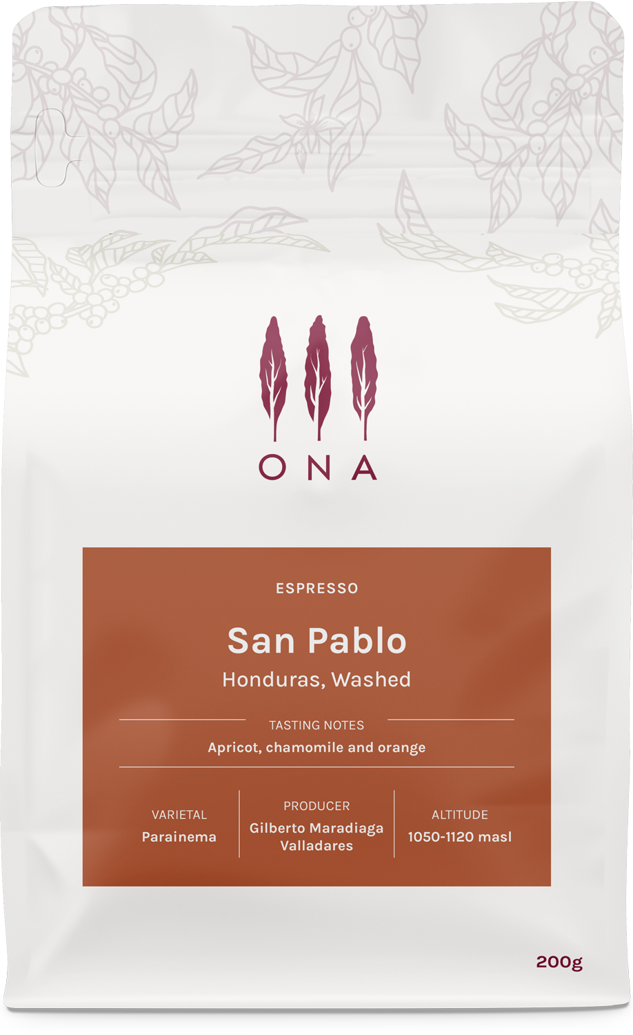San Pablo, Honduras, Washed