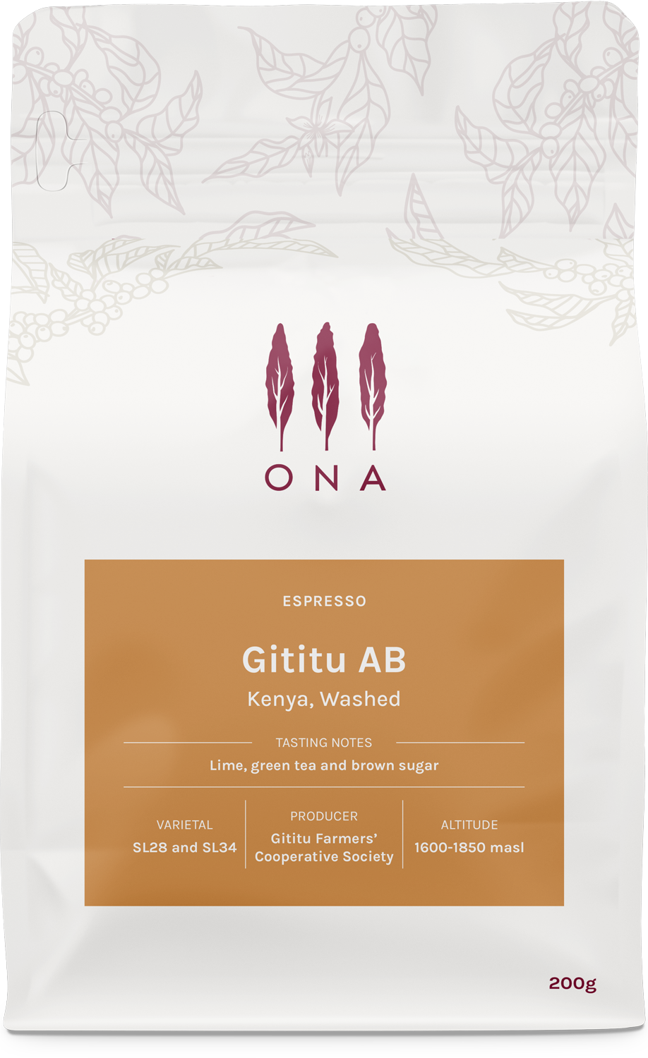 Gititu AB, Kenya, Washed