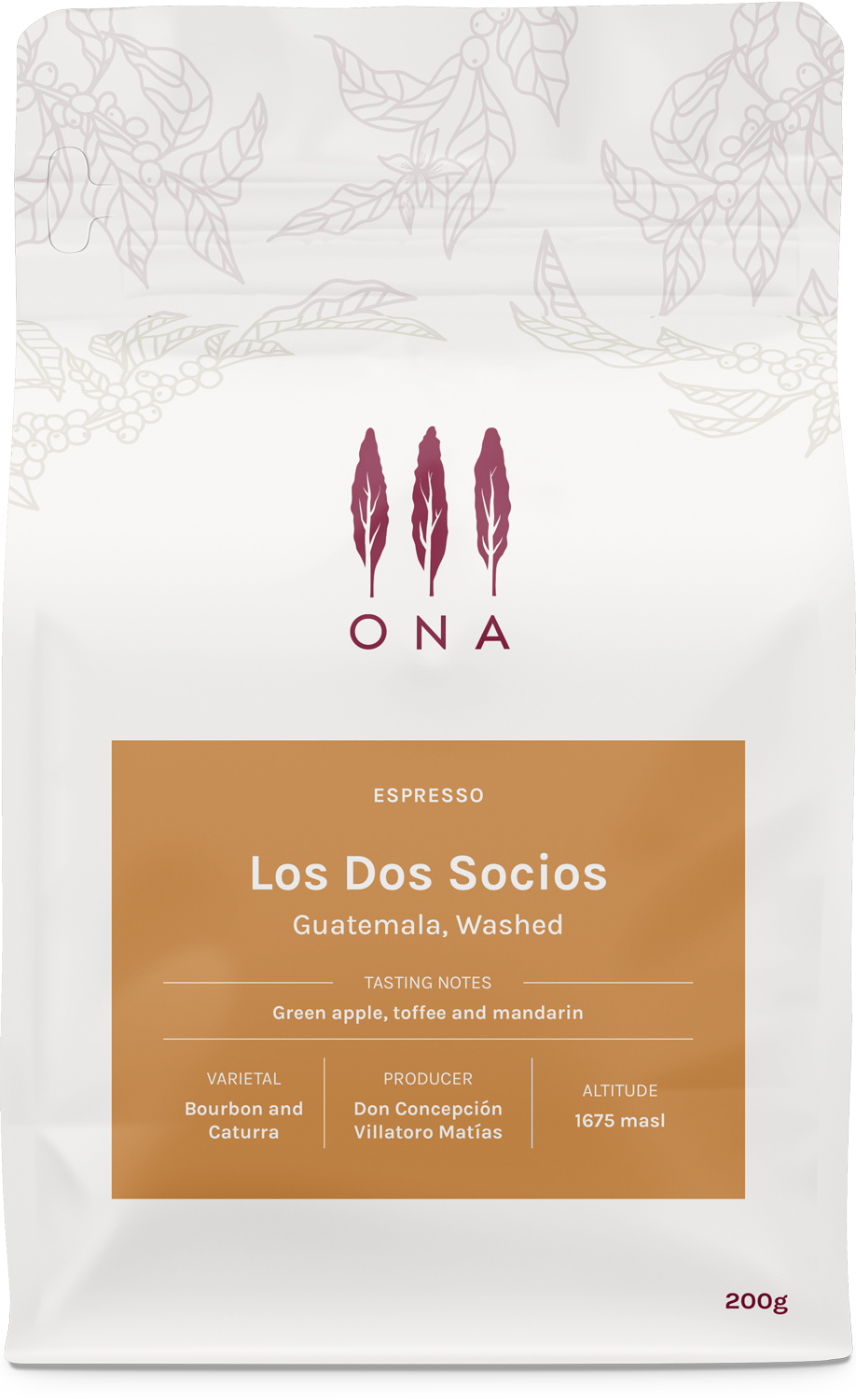 Los Dos Socios, Guatemala, Washed