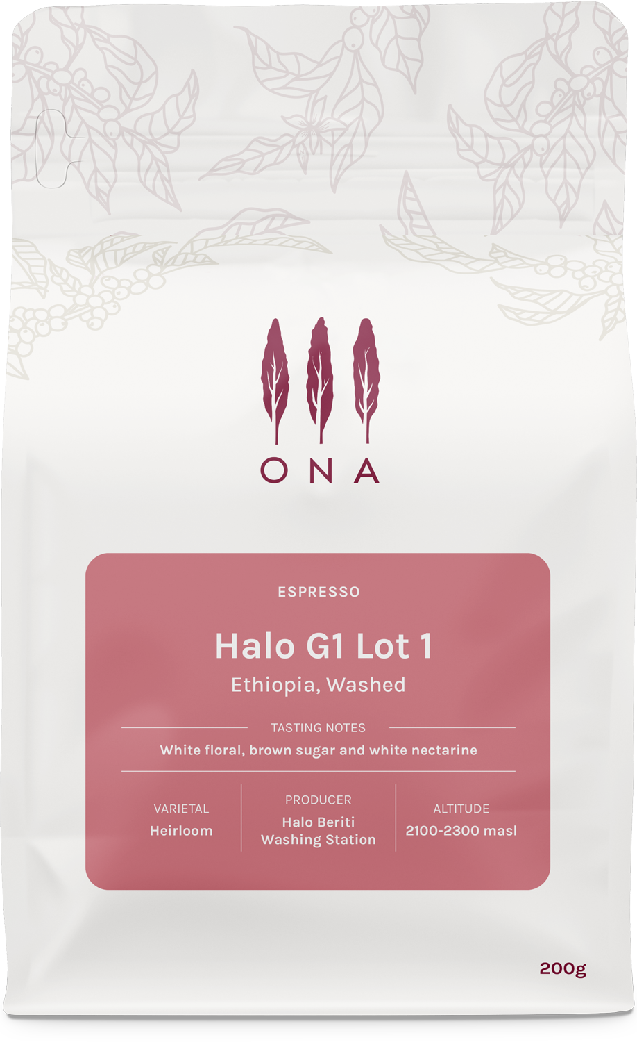 Halo G1 Lot 1, Ethiopia, Washed