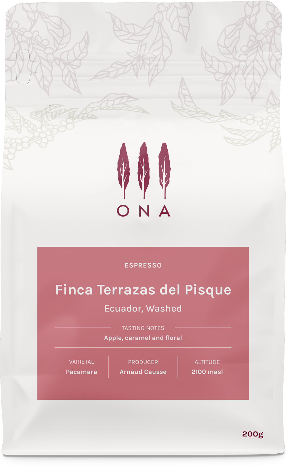 Finca Terrazas del Pisque, Ecuador, Washed