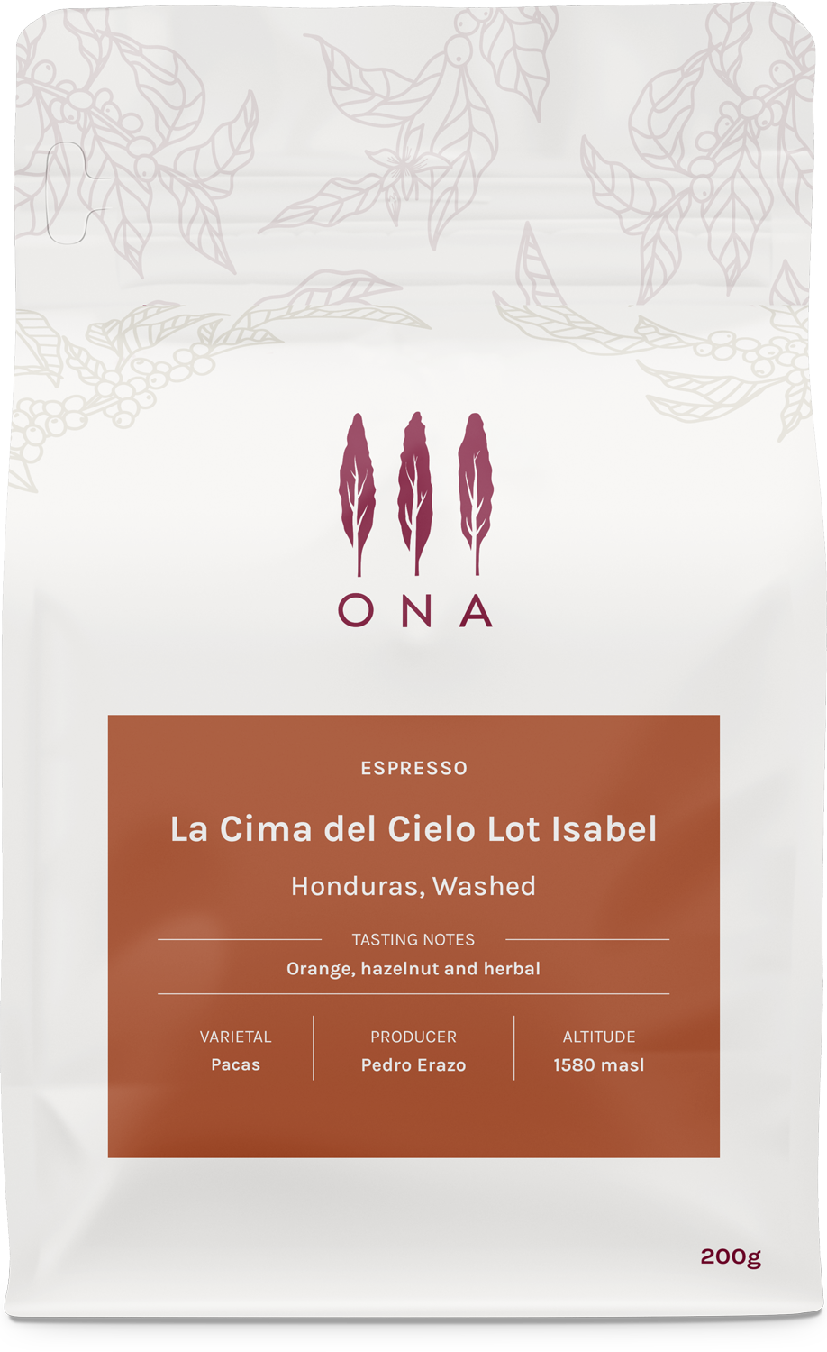 La Cima del Cielo Lot Isabel, Honduras, Washed