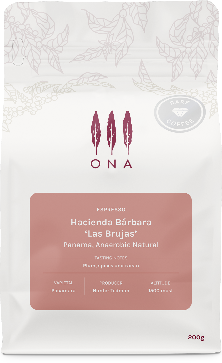 Hacienda Bárbara 'Las Brujas', Panama, Anaerobic Natural