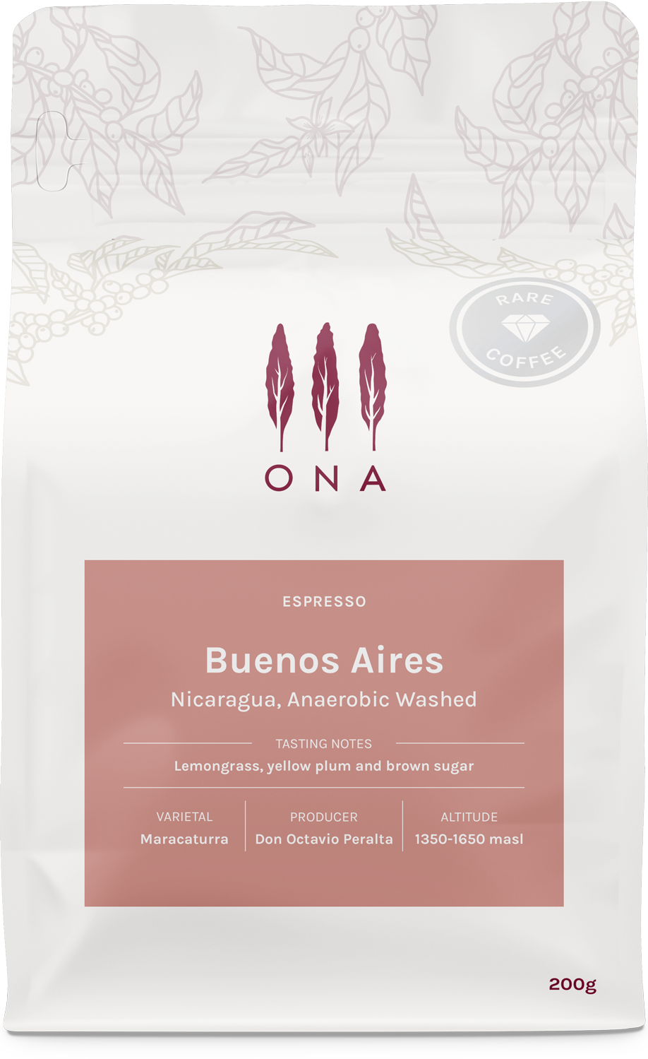 Buenos Aires, Nicaragua, Anaerobic Washed