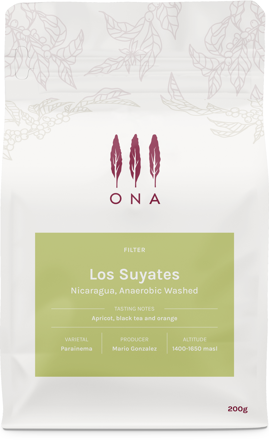 Los Suyates, Nicaragua, Anaerobic Washed