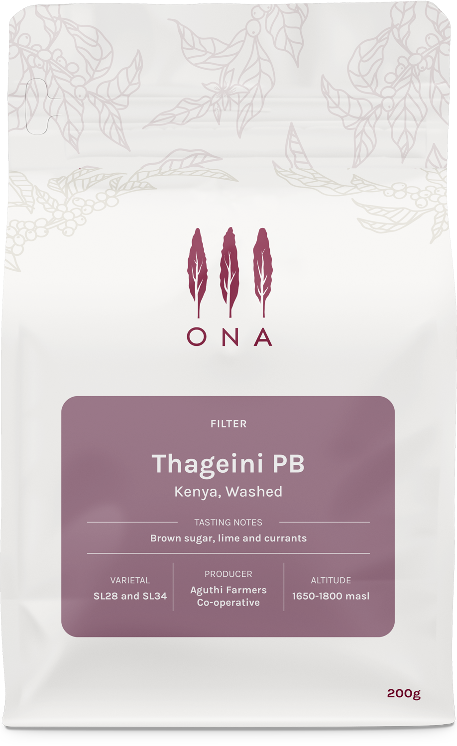 Thageini PB, Kenya, Washed