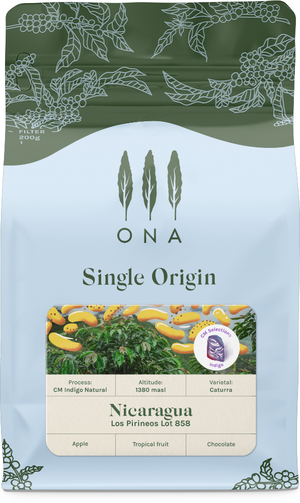 Nicaragua Los Pirineos Lot 858 CM Indigo Natural Caturra