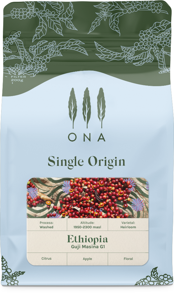 Ethiopia Guji Masina G1, Washed