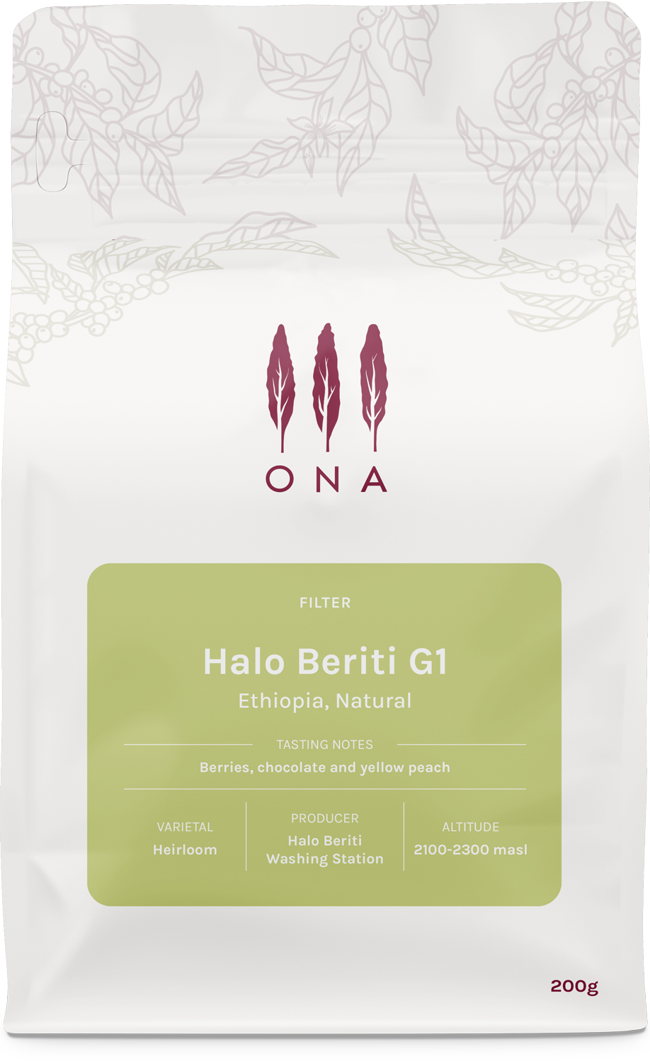 Halo Beriti G1, Ethiopia, Natural