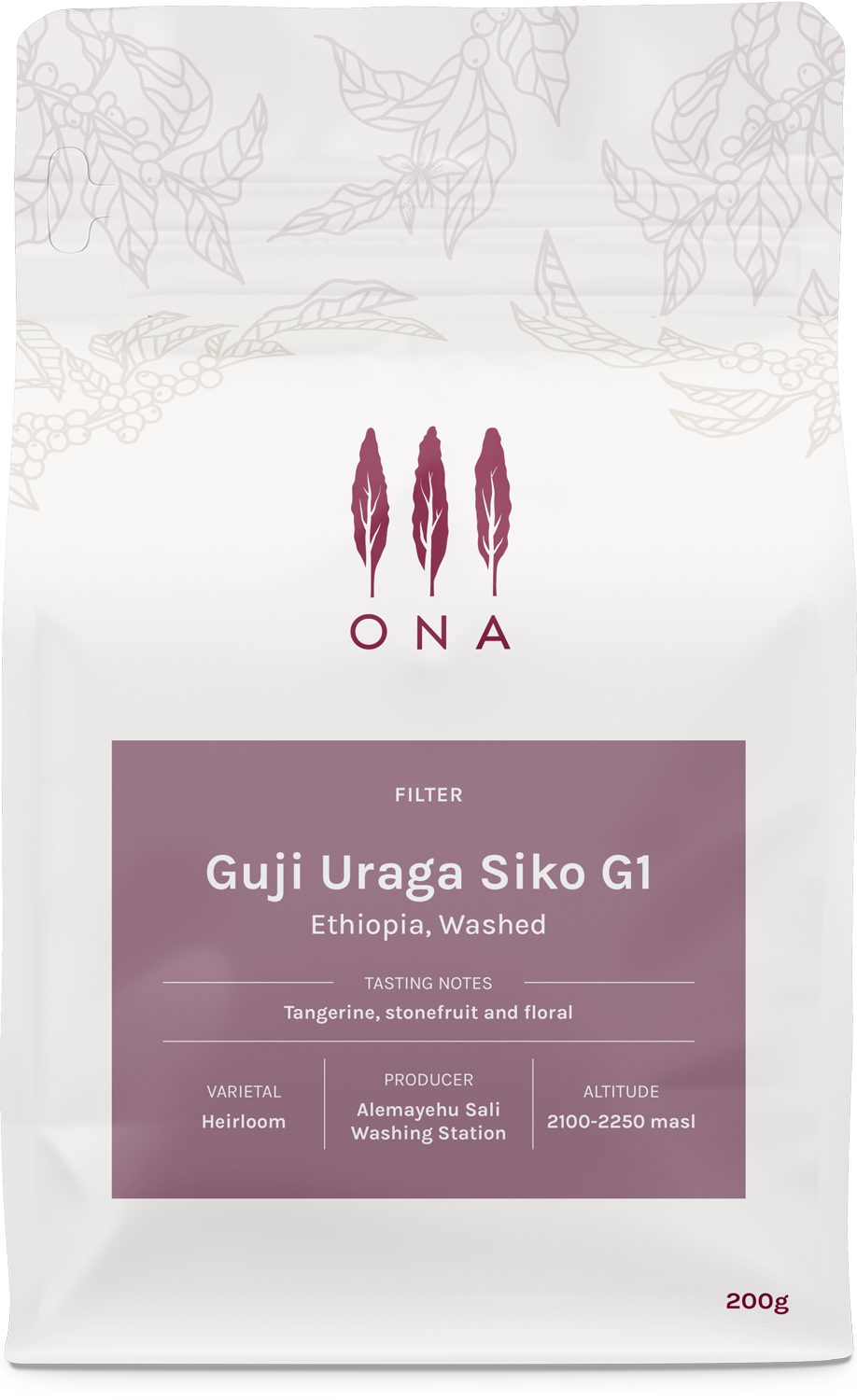 Guji Uraga Siko G1, Ethiopia, Washed