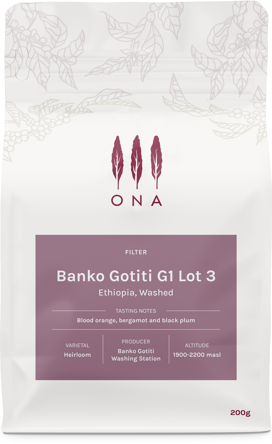 Banko Gotiti G1 Lot 3, Ethiopia, Washed