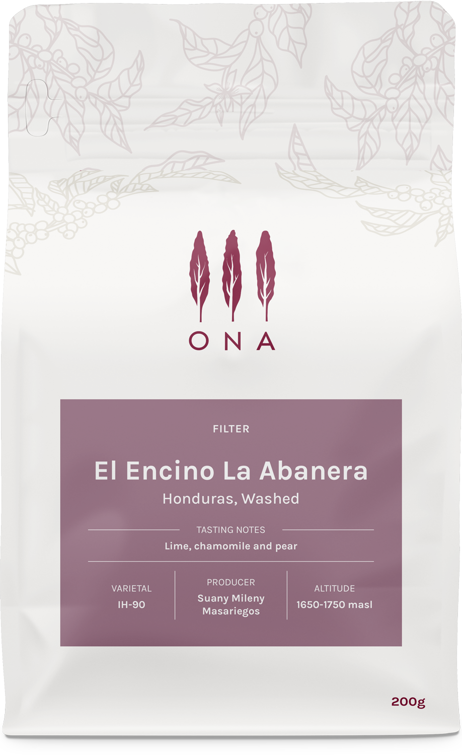 El Encino La Abanera, Honduras, Washed