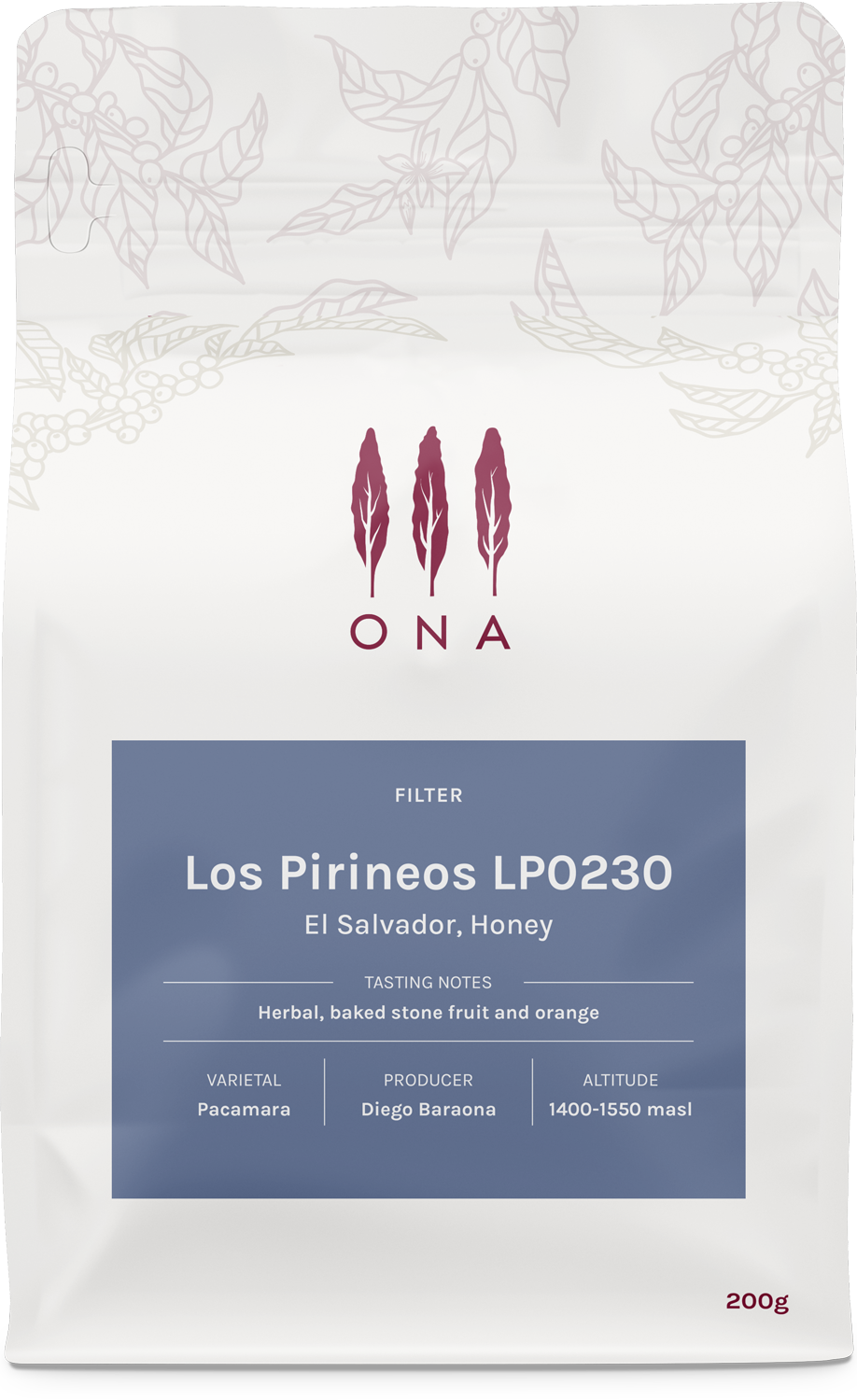 Los Pirineos LP0230, El Salvador, Honey