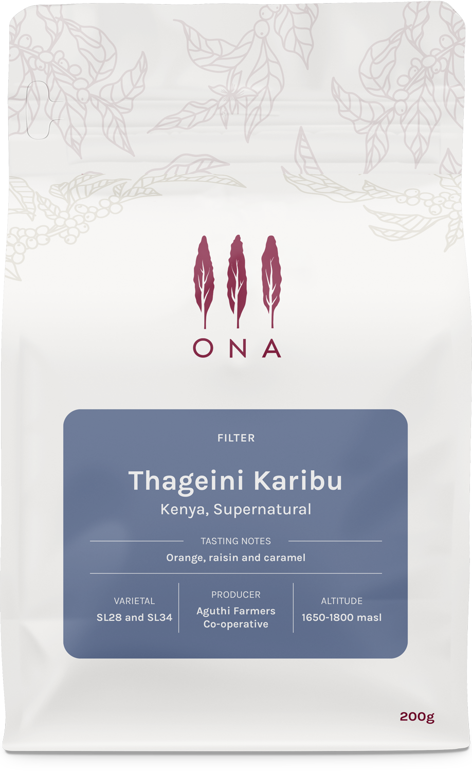 Thageini Karibu, Kenya, Supernatural