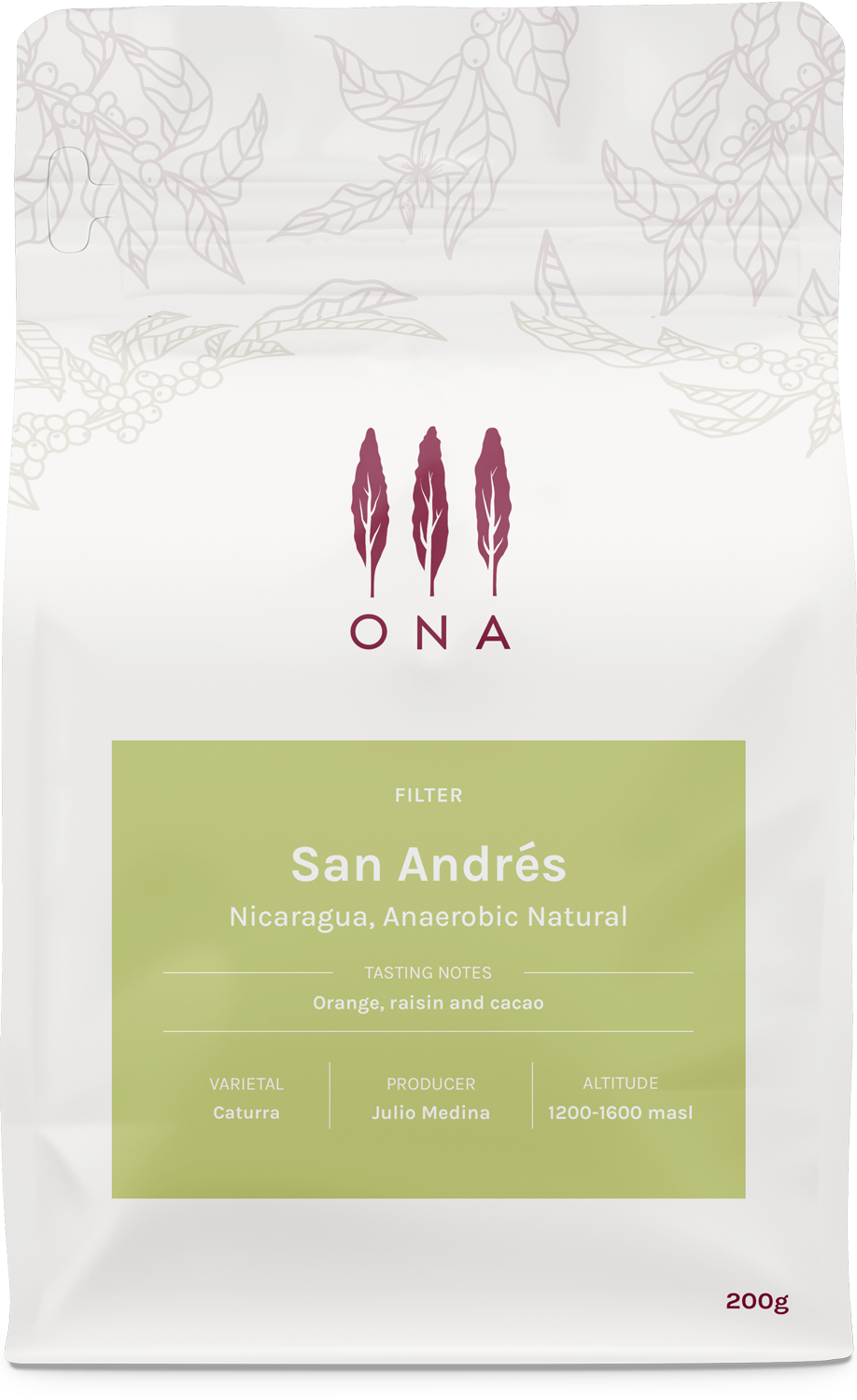 San Andrés, Nicaragua, Anaerobic Natural
