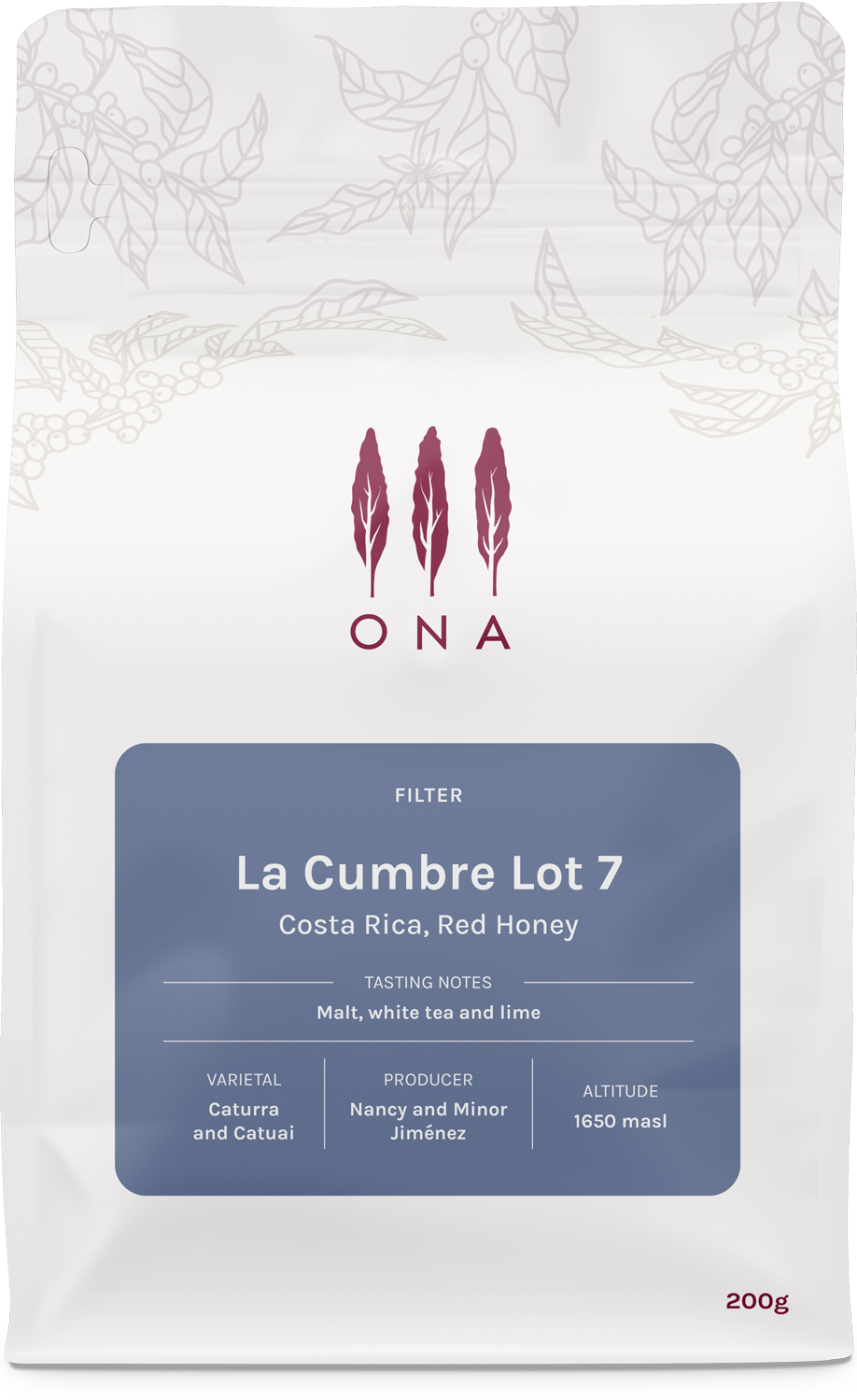 La Cumbre Lot 7, Costa Rica, Red Honey
