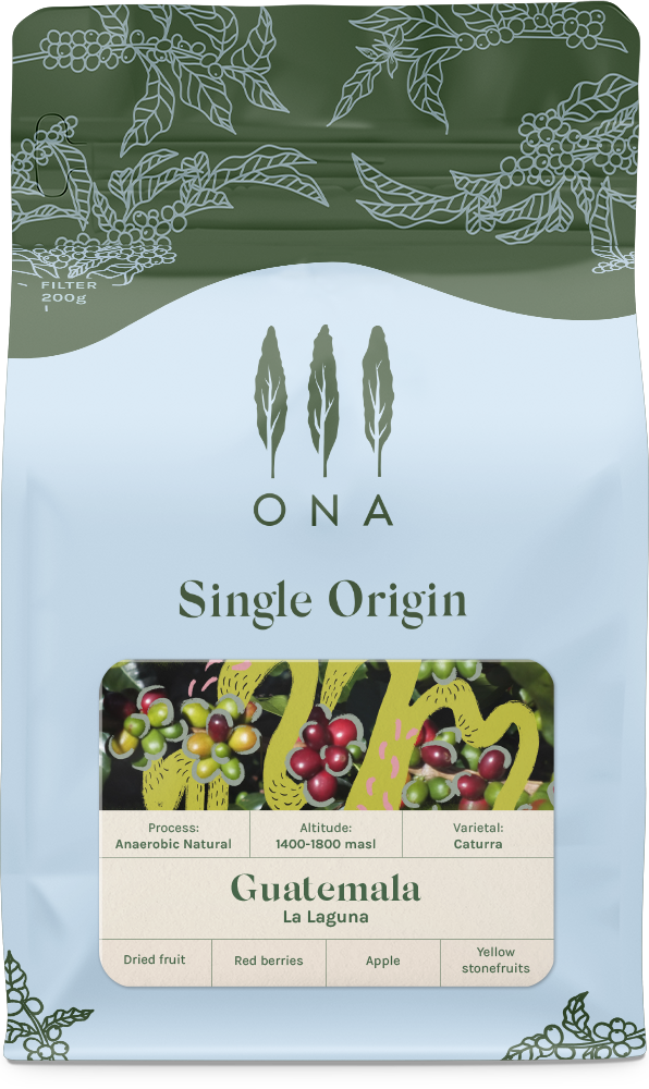 Guatemala La Laguna, Anaerobic Natural