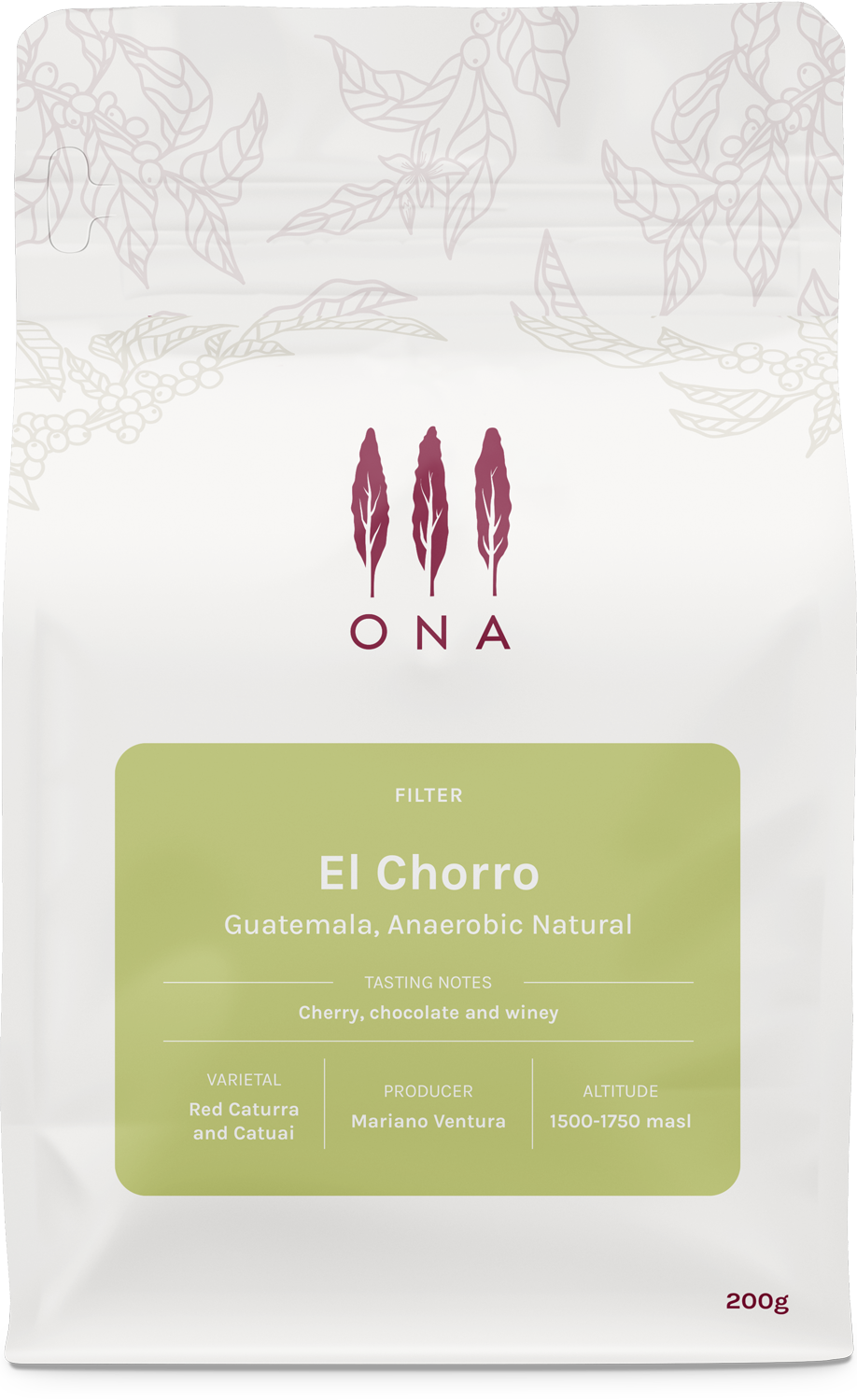 El Chorro, Guatemala, Anaerobic Natural