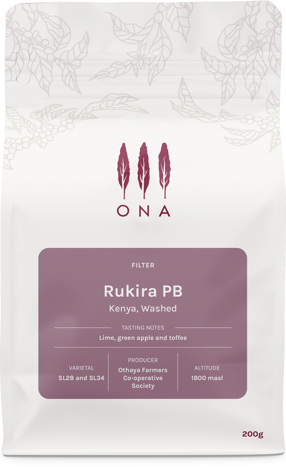 Rukira PB, Kenya, Washed