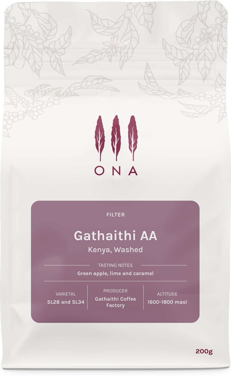 Gathaithi AA, Kenya, Washed