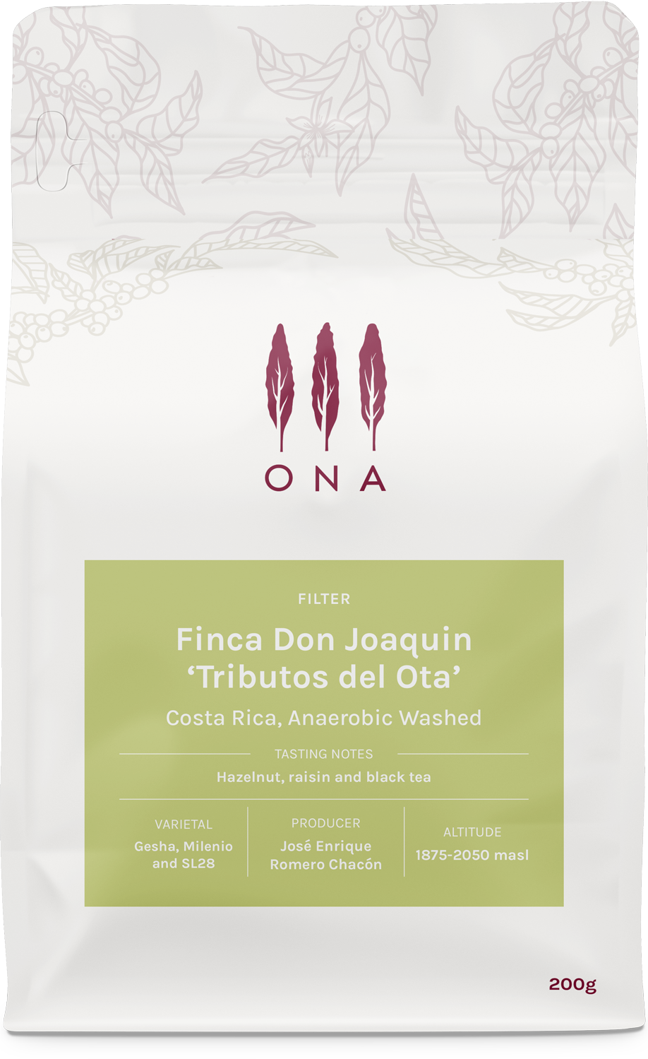 Finca Don Joaquin 'Tributos del Ota', Costa Rica, Anaerobic Washed
