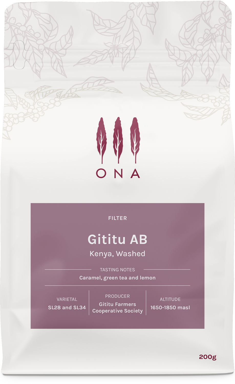 Gititu AB, Kenya, Washed
