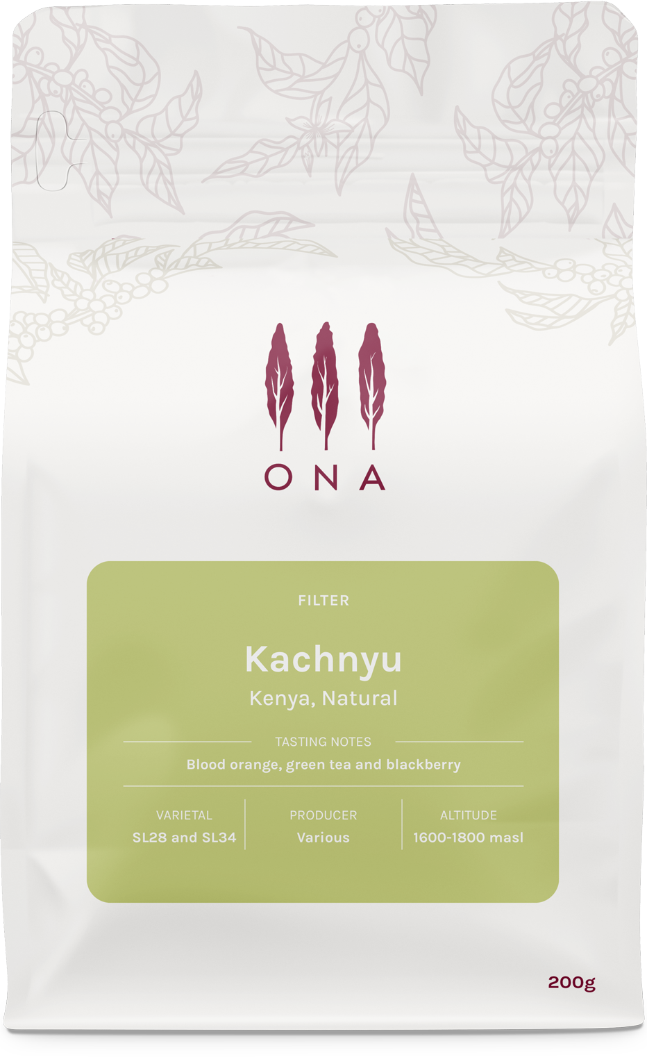 Kachnyu, Kenya, Natural