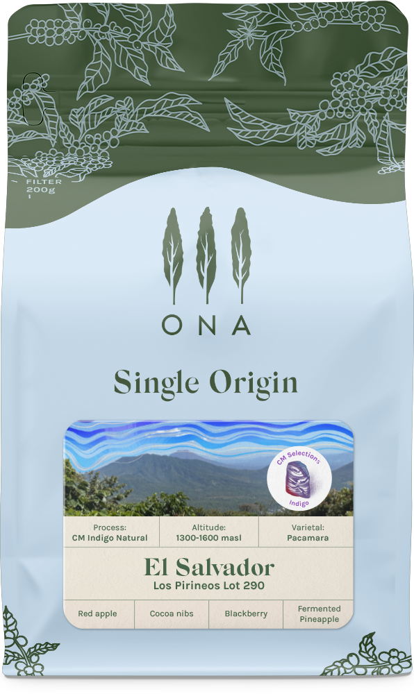 El Salvador Los Pireneos, Lot 290, CM Natural Pacamara