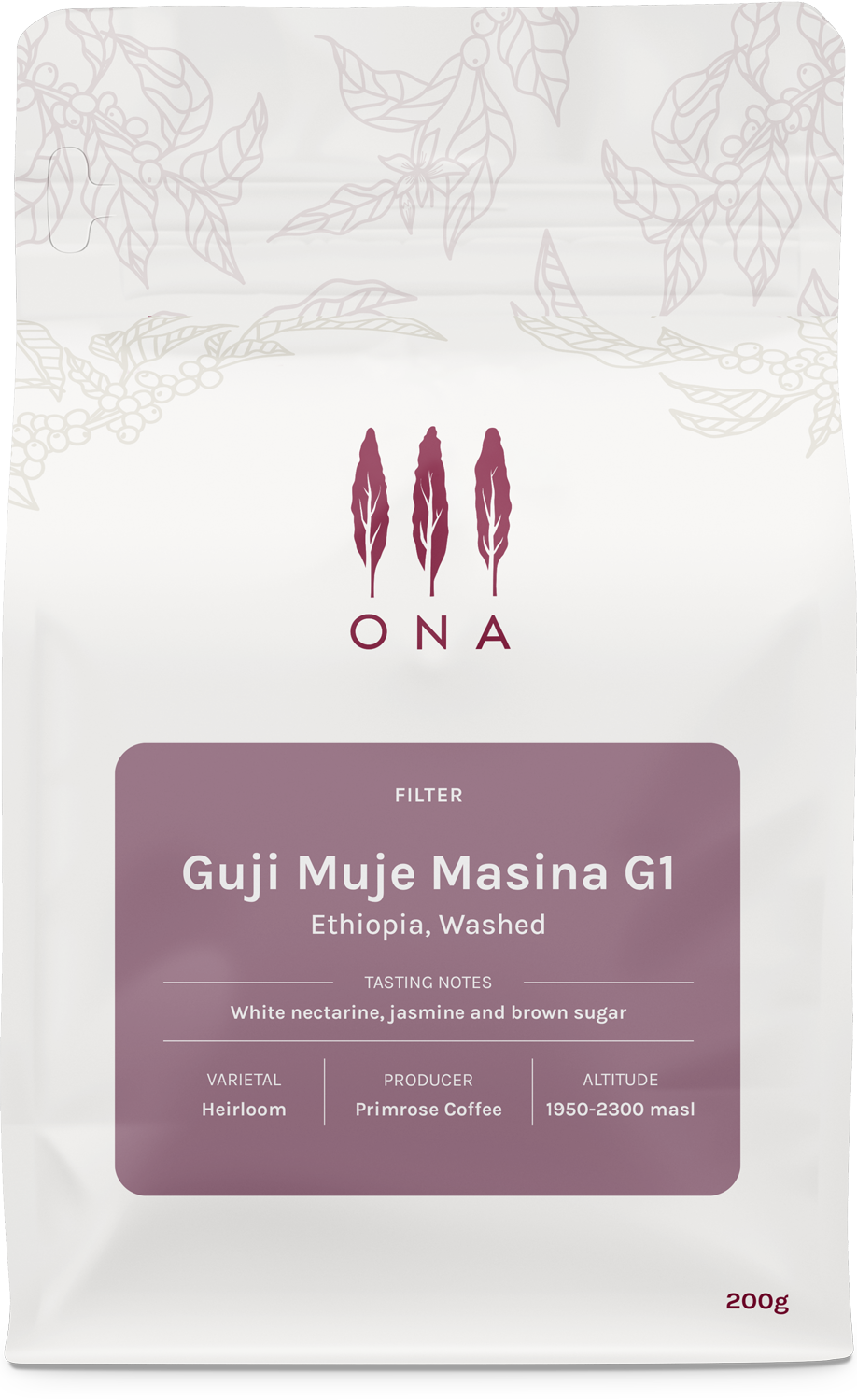 Guji Muje Masina G1, Ethiopia, Washed
