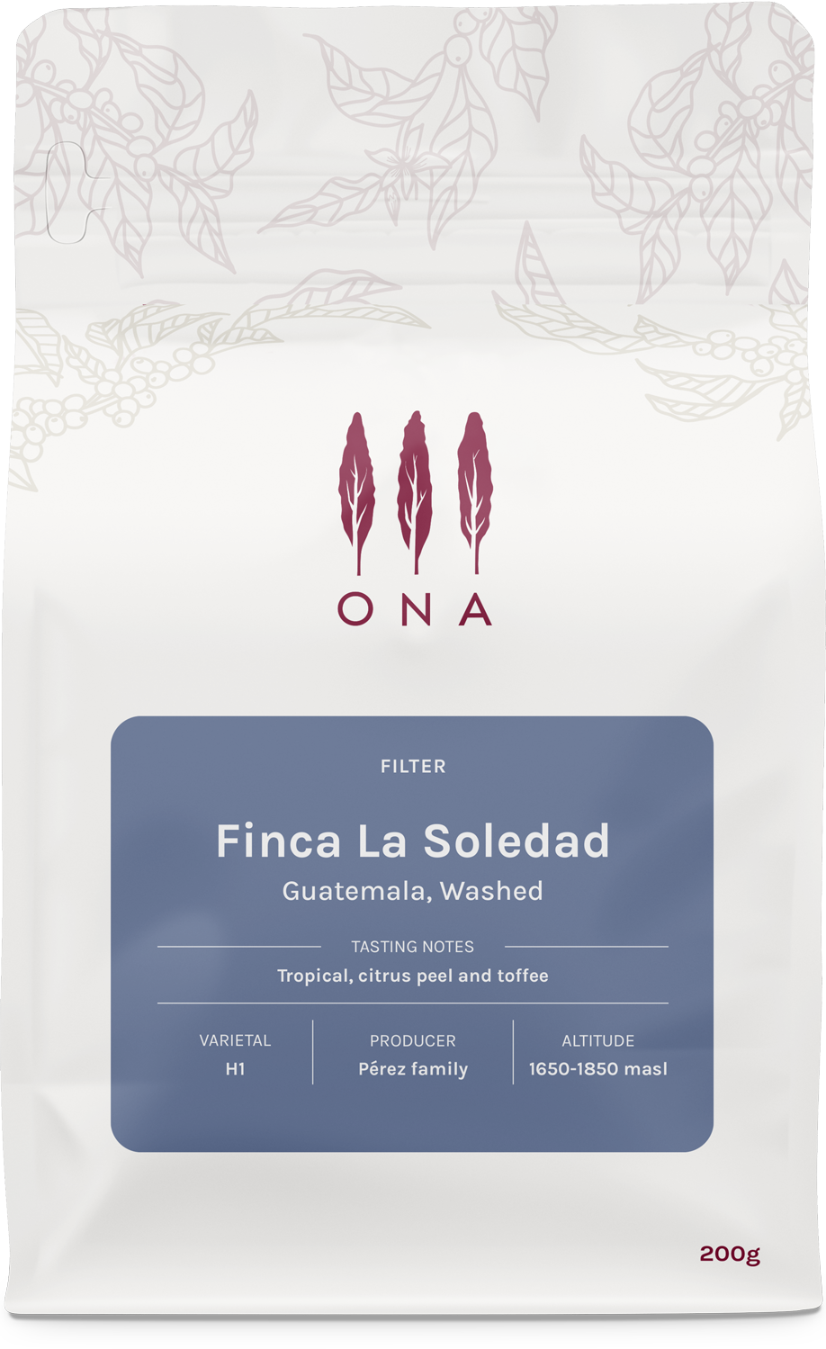 Finca La Soledad, Guatemala, Washed
