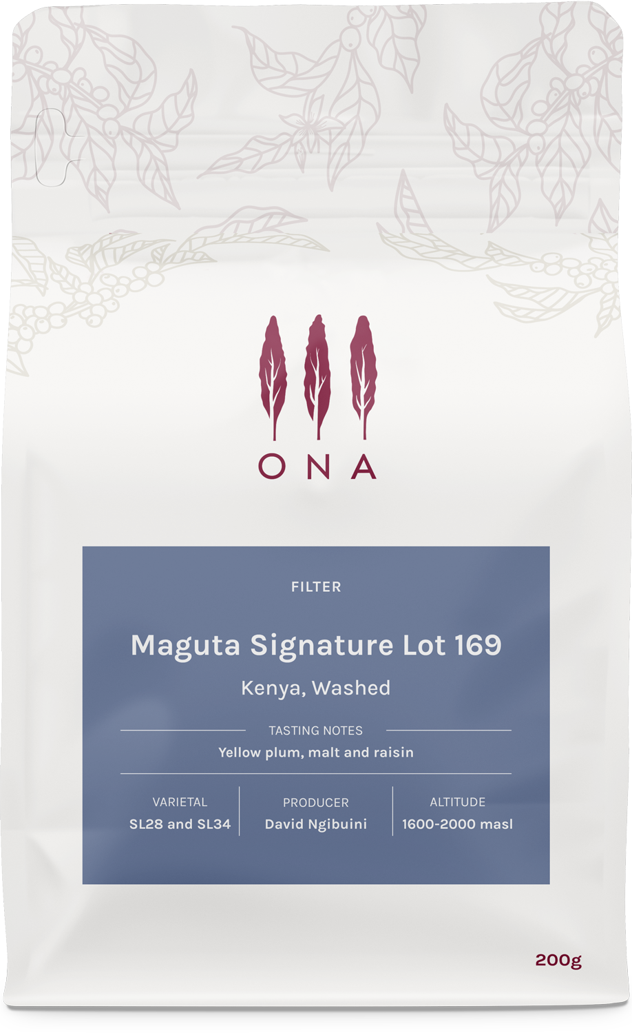 Maguta Signature Lot 169, Kenya, Washed