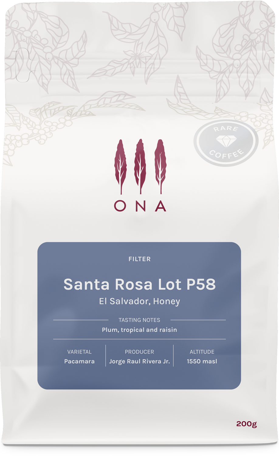 Santa Rosa Lot P58, El Salvador, Honey