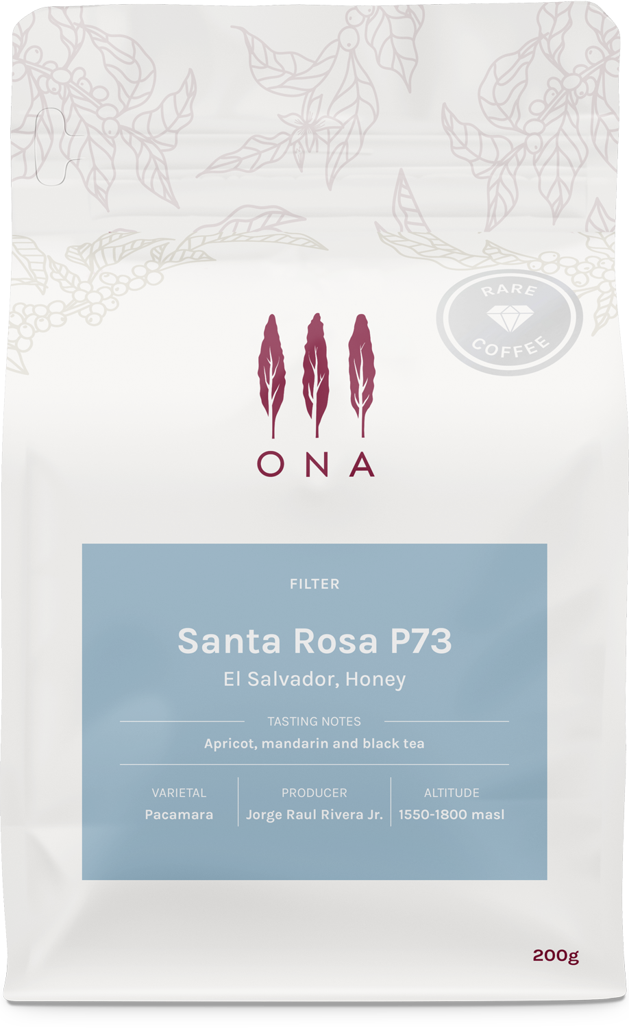 Finca Santa Rosa P73, El Salvador, Honey