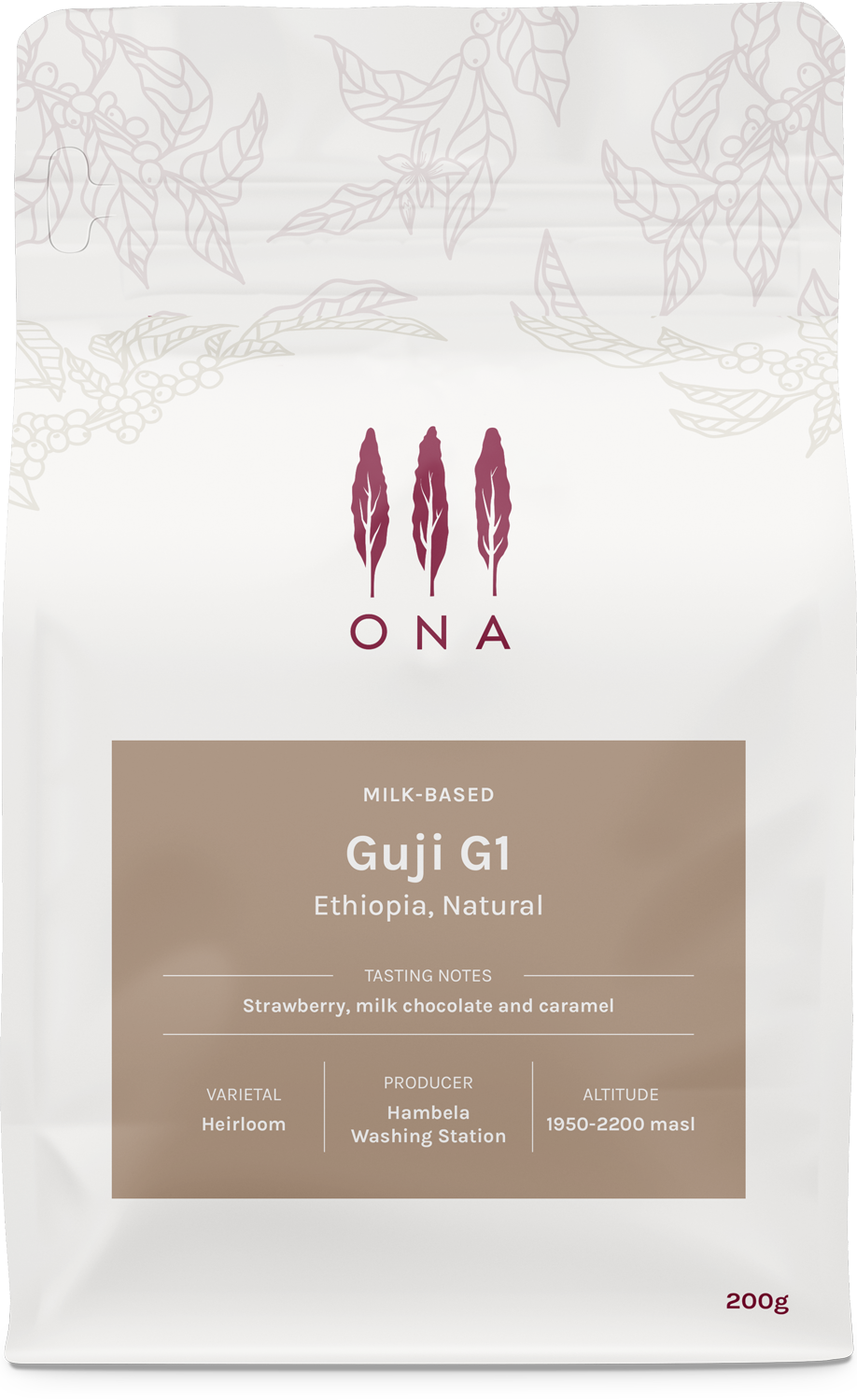 Guji G1, Ethiopia, Natural